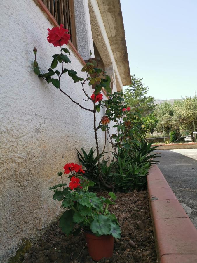 Frida Casavacanze Castellammare del Golfo Exterior photo
